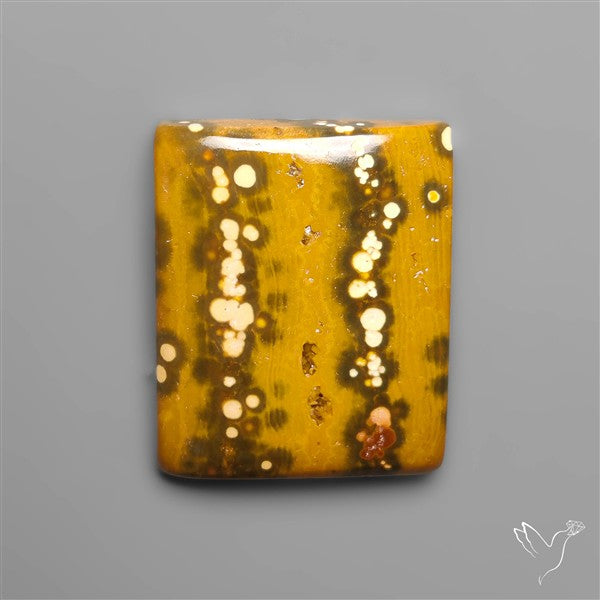 Orbicular Ocean Jasper