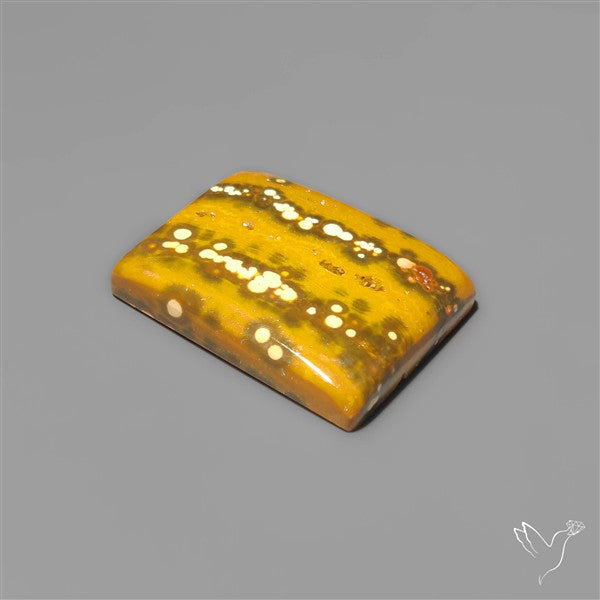 Orbicular Ocean Jasper