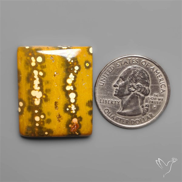 Orbicular Ocean Jasper