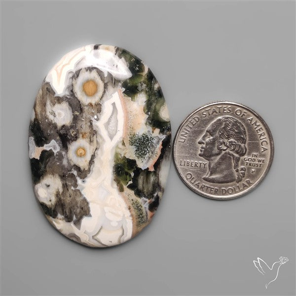 Rare Orbicular Ocean Jasper with a face pattern