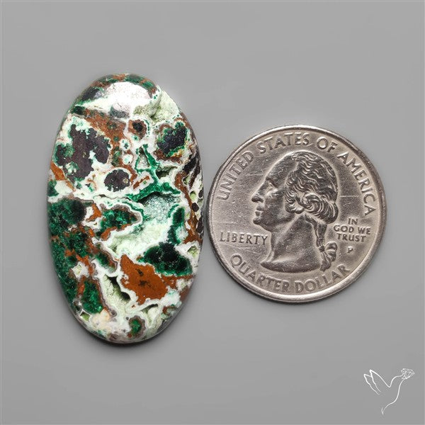 Parrot Wing Chrysocolla Cabochon