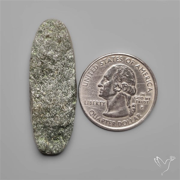 Rare Lodolite Quartz with Golden Rutile Inclusions
