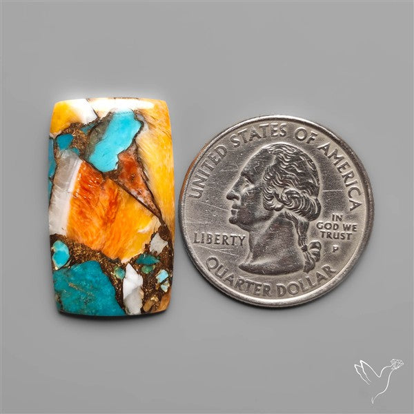 Spiny Oyster Mohave Turquoise Cabochon