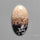 Indonesian Palmroot Agate Cabochon