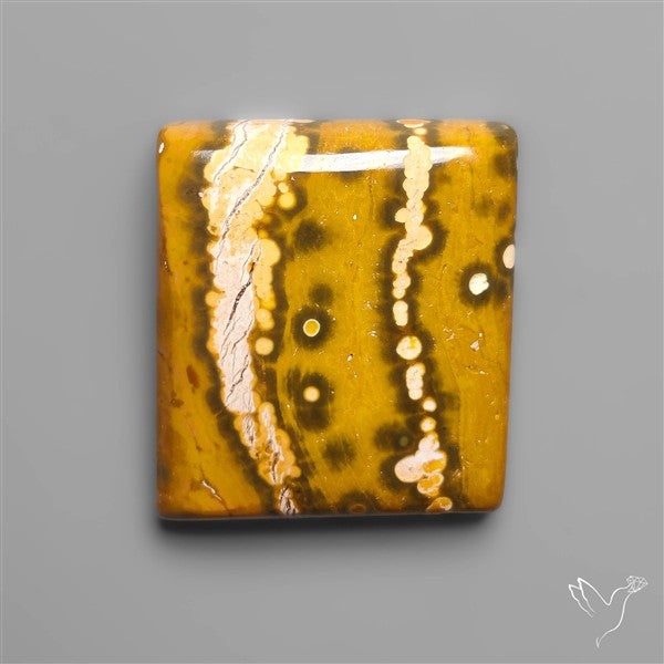 Orbicular Ocean Jasper