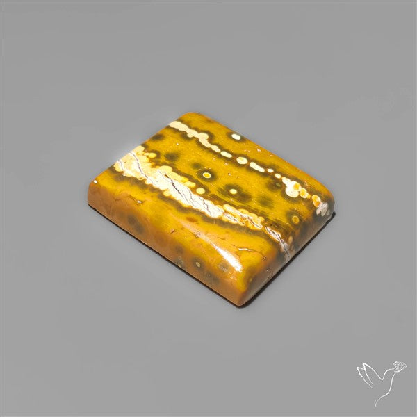 Orbicular Ocean Jasper