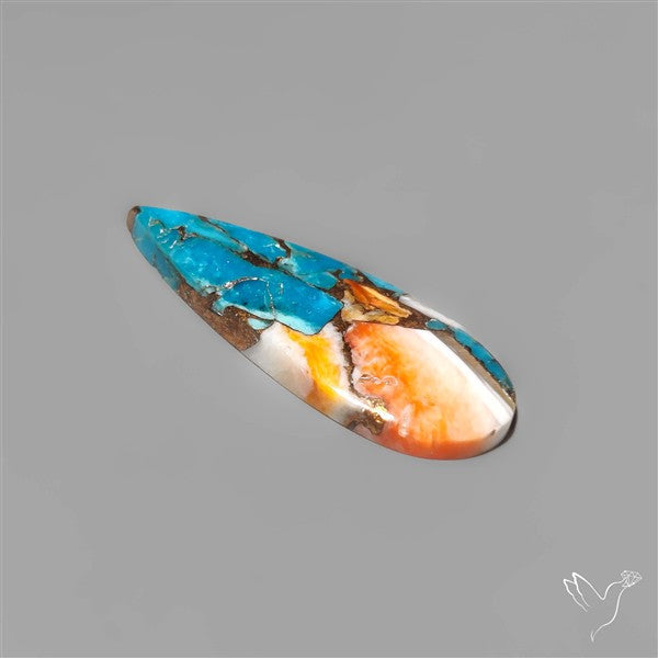 Spiny Oyster Mohave Turquoise Cabochon