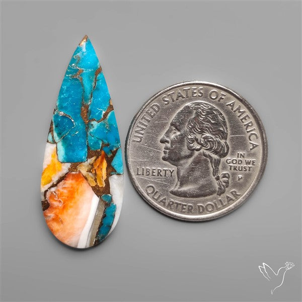 Spiny Oyster Mohave Turquoise Cabochon