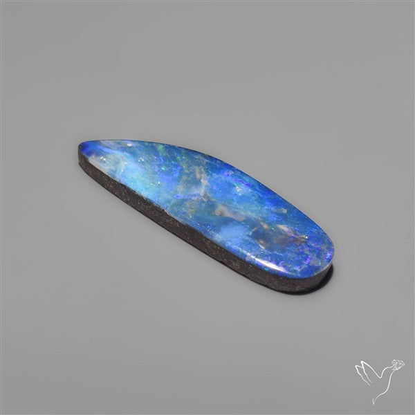 Large High Grade Australian Lightening Ridge Doublet Opal