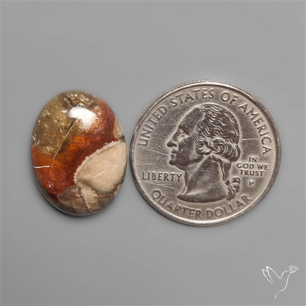 Mushroom Rhyolite Cabochon
