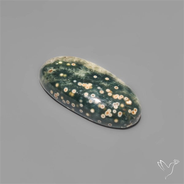 Orbicular Ocean Jasper Cabochon