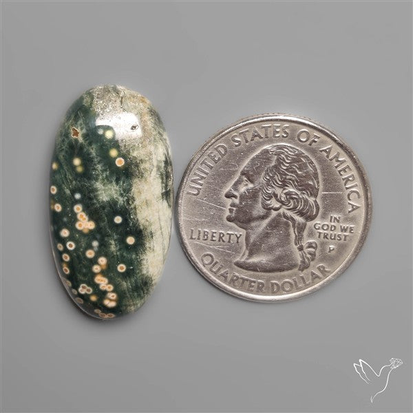 Orbicular Ocean Jasper Cabochon