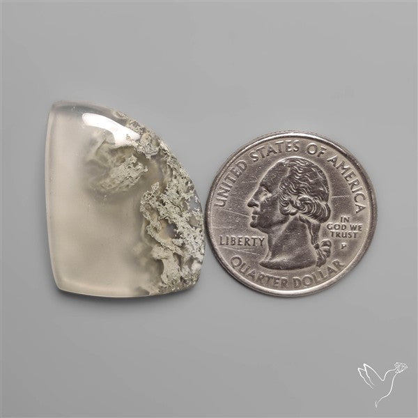 Horse Canyon Moss Agate Cabochon