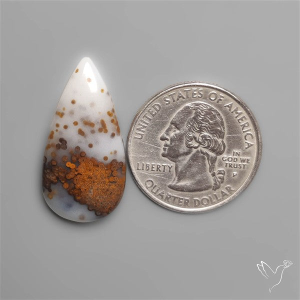 Polka Dot Agate Cabochon