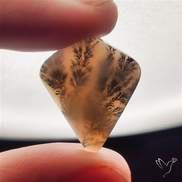 Scenic Dendritic Agate Opaque