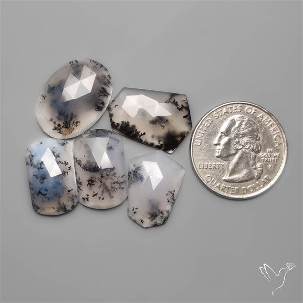 Dendritic Agates Lot