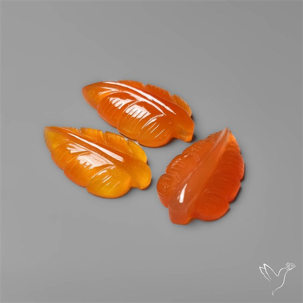 Carnelian Agate Leaf Carvings Lot
