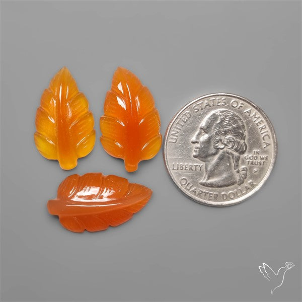 Carnelian Agate Leaf Carvings Lot