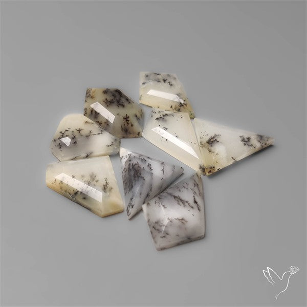 Step Cut Scenic Dendritic Opals Lot