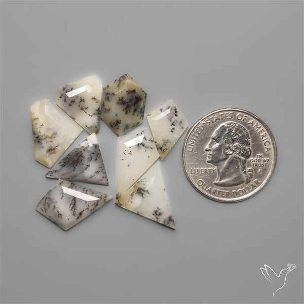 Step Cut Scenic Dendritic Opals Lot