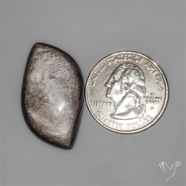 Silversheen Obsidian