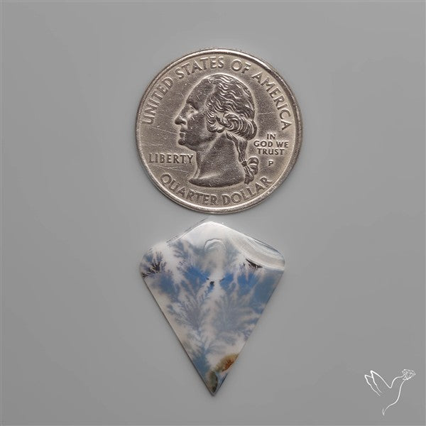 Scenic Agate