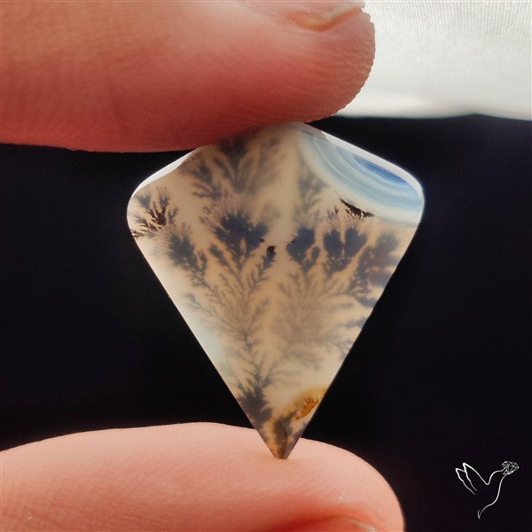 Scenic Agate