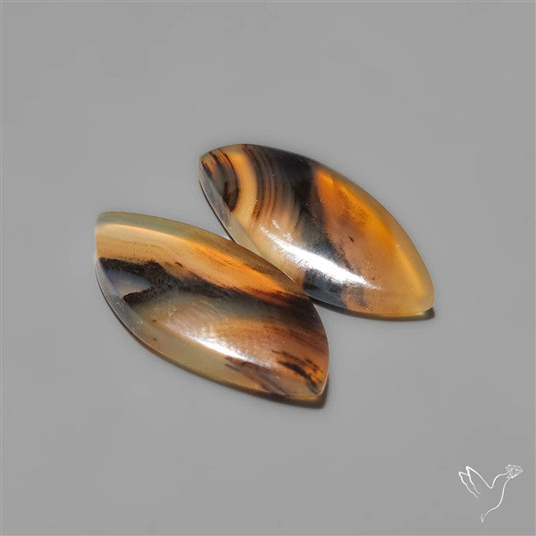 Montana Agates Pair
