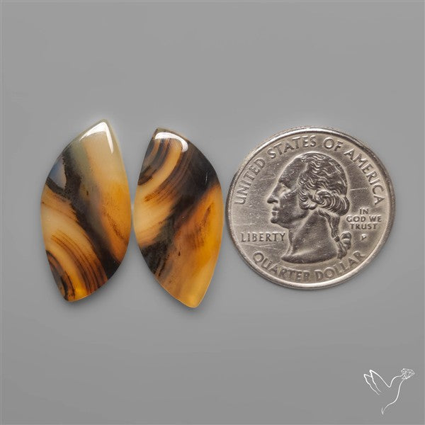 Montana Agates Pair