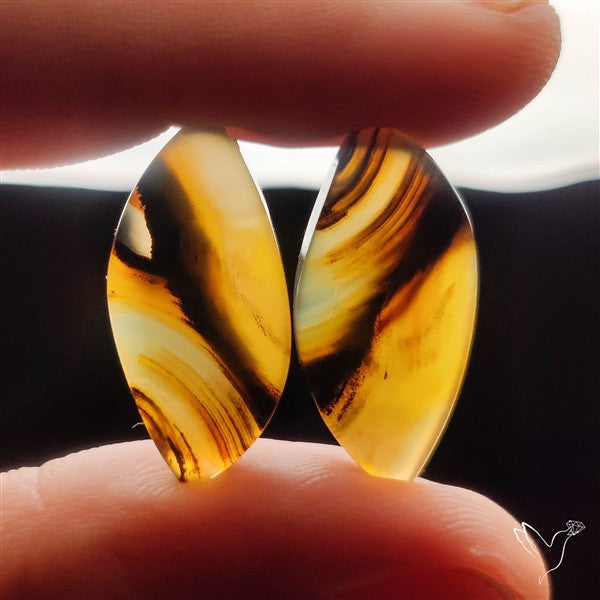 Montana Agates Pair