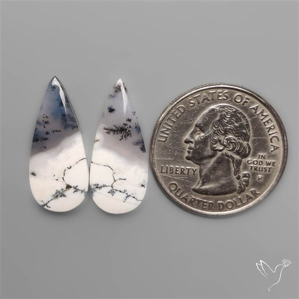 Dendritic Opals Pair