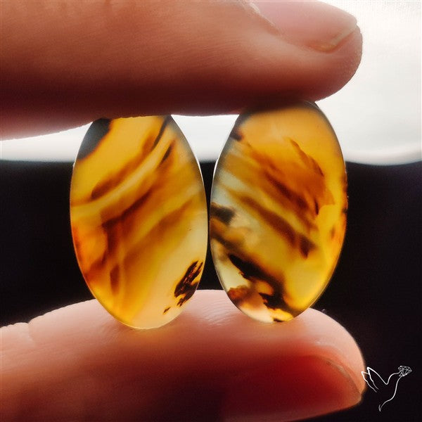 Montana Agates Pair