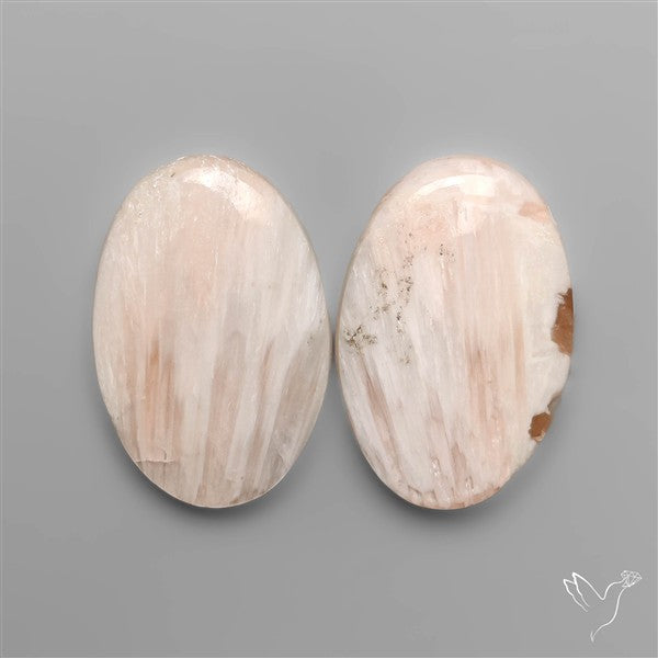 Pink Scolecites Pair