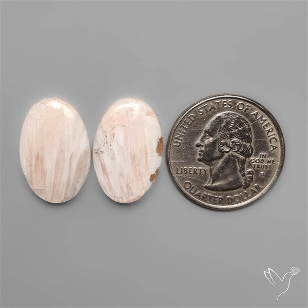 Pink Scolecites Pair