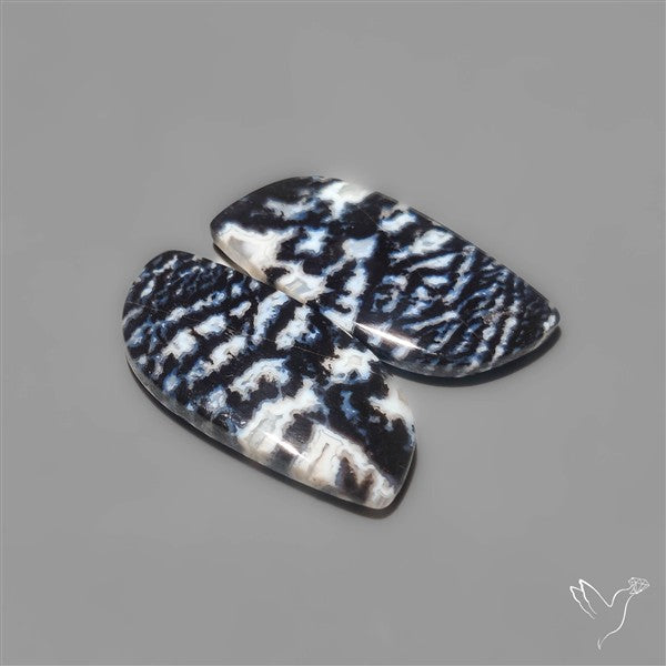 Tuxedo Agate Pair