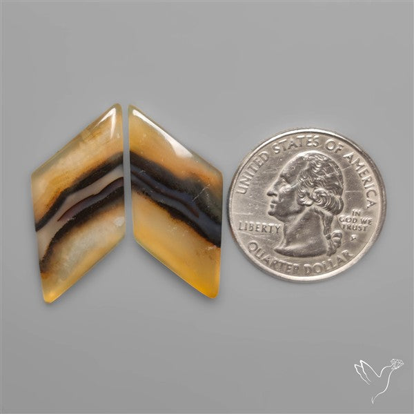 Montana Agates Pair