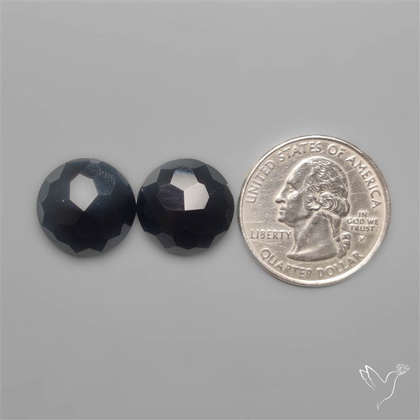 Checker Cut Black Onyx Pair
