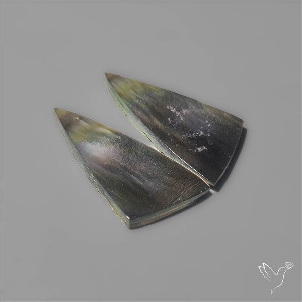 Rainbow Tahitian Black Mother Of Pearls Pair