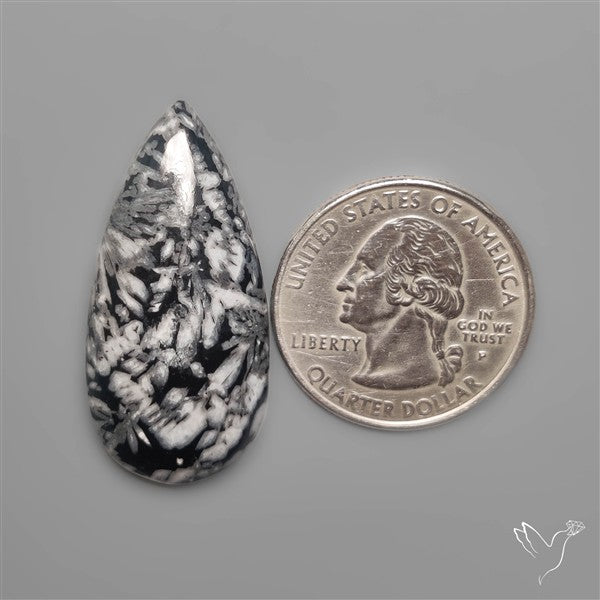 Pinolith Cabochon