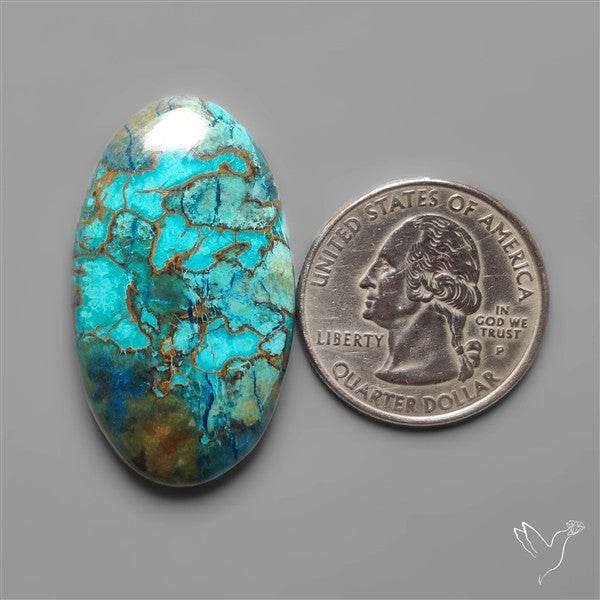 Azurite with Shattuckite and Cuprite Cabochon