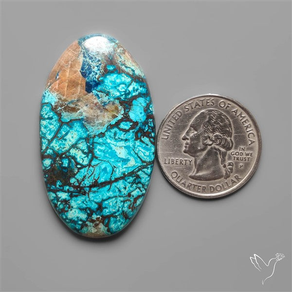 Azurite with Shattuckite and Cuprite Cabochon