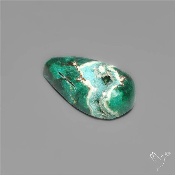 Parrot Wing Chrysocolla Cabochon