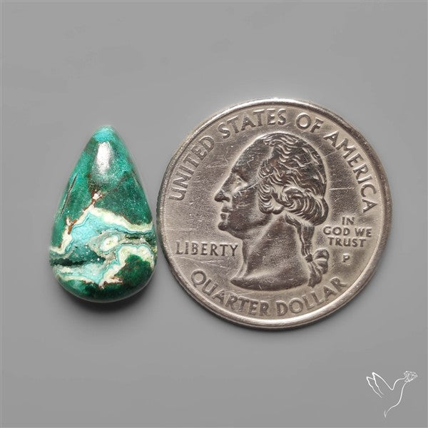 Parrot Wing Chrysocolla Cabochon