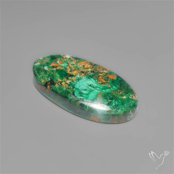 Parrot Wing Chrysocolla Cabochon