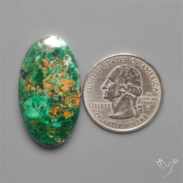 Parrot Wing Chrysocolla Cabochon