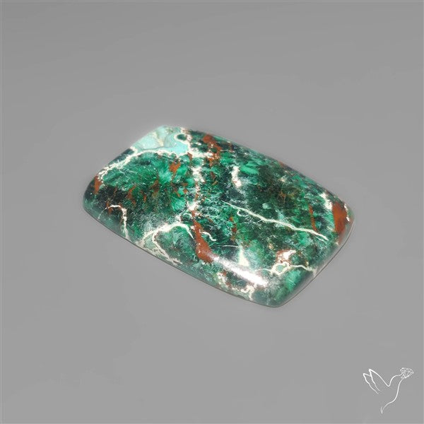 Parrot Wing Chrysocolla Cabochon