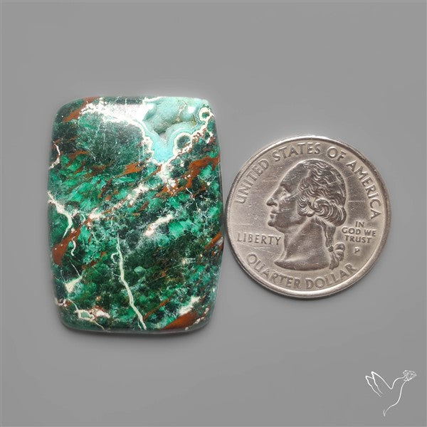 Parrot Wing Chrysocolla Cabochon