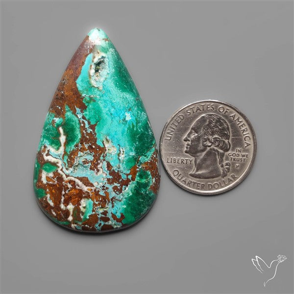 Parrot Wing Chrysocolla Cabochon