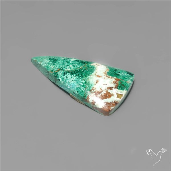 Parrot Wing Chrysocolla Cabochon