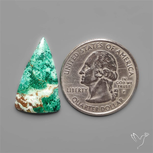 Parrot Wing Chrysocolla Cabochon